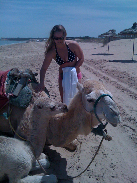 Ronda and the camels