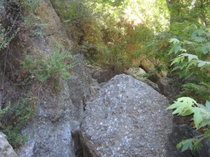 Rocks in Santa Monica mountains