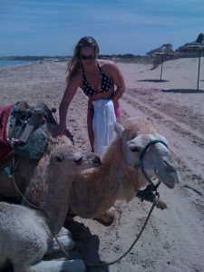Ronda camel